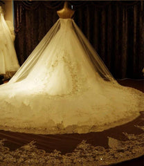 Sweetheart Ball Gown Watteau Train Wedding Dress with Appliques Beading WD022