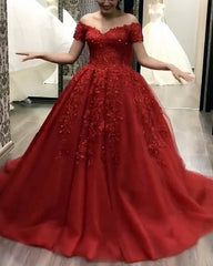 Tulle Ball Gown Dresses Lace V Neck Off The Shoulder