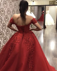 Tulle Ball Gown Dresses Lace V Neck Off The Shoulder