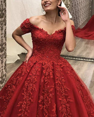 Tulle Ball Gown Dresses Lace V Neck Off The Shoulder
