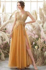 Deep V-neck Long Prom Dress with Appliques