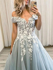 Ball Gown Prom Dresses Princess Dress Formal Prom Floor Length Sleeveless Off Shoulder Organza Backless with Pleats Appliques