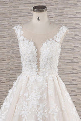 Mooie lange A-Line Tule Lace Appliques Backless trouwjurk