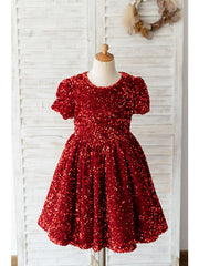 Beautiful Short Sleeve Jewel Neck Ball Gown Knee Length Flower Girl Dress With Sequined