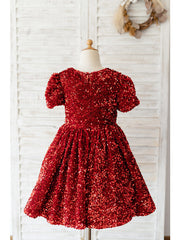 Beautiful Short Sleeve Jewel Neck Knee Length Flower Girl Dress With Sequined
