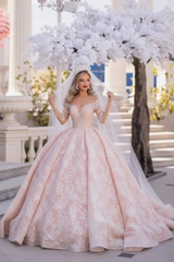 Gorgeous Tulle Aline Wedding Dress Off-the-Shoulder with Long Sleeves