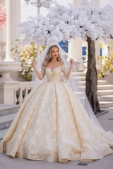 Gorgeous Tulle Aline Wedding Dress Off-the-Shoulder with Long Sleeves