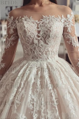 Charming Long Sleeves Lace Tulle Ball Gown Wedding Dress