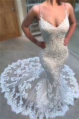 Charming V-Neck Long Mermaid Wedding Dress With Lace Appliques