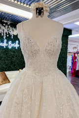 Chique Long A-Line V-neck Floral Lace Open Back Wedding Jurken