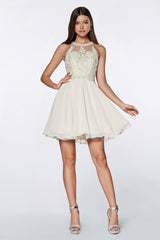 Cinderella Divine CD0141 Prom Short Cocktail Homecoming Dress