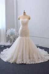 Stijlvolle lange zeemeermin lieverd backless appliques kanten tule trouwjurk