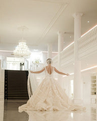 Elegant Backless A-Line Wedding Gown with Deep V-Neck and Spaghetti Straps in Applique Lace