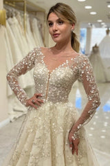 Elegant Long Sleeve Lace A-Line Wedding Dress V-Neck with Appliques