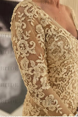 Elegant Long Sleeves Lace mother of the bride dress V-Neck