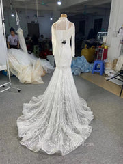 Sexy See Through Mermaid Wedding Dresses with Long Sleeves 67140