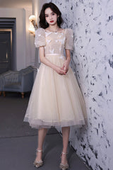 Champagne Lace Short Prom Dresses, A-Line Homecoming Dresses