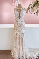 Glamoureuze lange zeemeermin Bateau Appliques kant tule trouwjurk