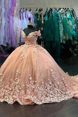Glamorous Off-the-Shoulder Tulle Ball Gown Quinceanera Dresses with Floral Appliques