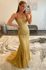 Mint Green Lace Mermaid Backless Long Prom Dresses Sleeveless Evening Dresses