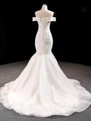 Gorgeous Beaded Mermaid Lace Wedding Dresses with Train FD1273