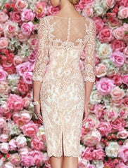 Sheath / Column Mother of the Bride Dress Wedding Guest Plus Size Sexy See Through Bateau Neck Knee Length Lace 3/4 Length Sleeve with Pleats Appliques