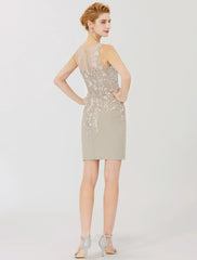 Aimishang  Sheath / Column Mother of the Bride Dress Formal Classic & Timeless Elegant & Luxurious Convertible Dress Illusion Neck Knee Length Chiffon All Over Lace Long Sleeve with Appliques