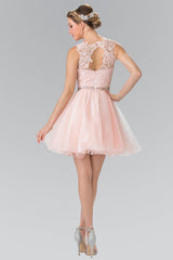 Lace Illusion Top A Line Short Graduation Dress Cocktail