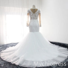 Mermaid Lace Long Sleeves Brial Wears Appliques Tulle Gowns