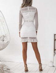 Women's Wedding Guest Dress Homecoming Dress Lace Dress Party Dress Sheath Dress Mini Dress White Long Sleeve Pure Color Lace Winter Fall High Neck Fashion Winter Dress