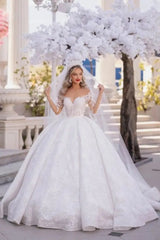 Gorgeous Tulle Aline Wedding Dress Off-the-Shoulder with Long Sleeves