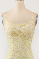 Pink Mermaid Long Prom Dress with Appliques
