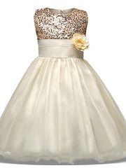 Princess Midi Dress with Tulle Sleeves Jewel Neck & Bow Applique