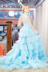 Ruffled Pleated Tulle Prom Dresses with Slit Bow Shoulder V-Neck FD4004