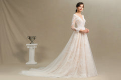 Sheer Tulle A-Line Wedding Dress With Lace Illusion Sleeves