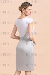 Silver Short Mother Of the Bride Dress Knee-Length Two Pieces Wedding Guest Outfits