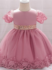 Sleeveless Jewel Neck Lace Ball Gown for Weddings and Parties