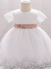 Sleeveless Jewel Neck Lace Ball Gown for Weddings and Parties