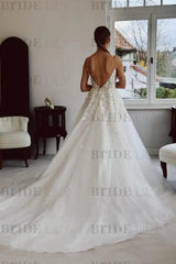 Spaghetti Straps V-Neck Backless Tulle Applique Wedding Dresses