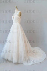 V-neck Appliques Tulle Chapel Train Wedding Dress
