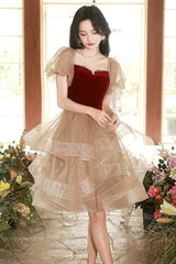 Cute Velvet Tulle Short Prom Dress, Beautiful Party Dress Homecoming Dress