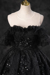 Black Tulle Lace Long Prom Dress, Black A-Line Off the Shoulder Evening Party Dress