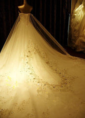 Lace Applique Wedding Dresses Strapless Sweetheart Bridal Gown Beaded with Cathedral Train