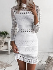 Women's Wedding Guest Dress Homecoming Dress Lace Dress Party Dress Sheath Dress Mini Dress White Long Sleeve Pure Color Lace Winter Fall High Neck Fashion Winter Dress