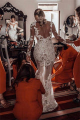 Cheap Long Sleeve See Through Lace Close-fitting Outdoor Beach Wedding Dress