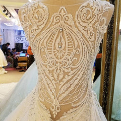 Lace Embroidery Wedding Dresses Ball Gowns With Illusion Back