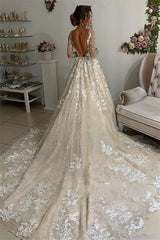 See Through Long Sleeve Lace Appliques V-Neck Open Back Wedding Dress