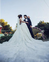 Long Train See Through Back Bride Lace Long Sleeve Ball Gown Wedding Dress