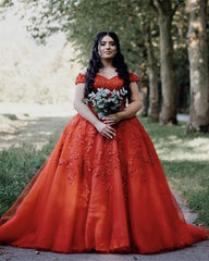 Ball Gown Princess Tulle Dresses Lace Appliques Off The Shoulder