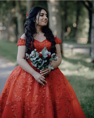 Ball Gown Princess Tulle Dresses Lace Appliques Off The Shoulder